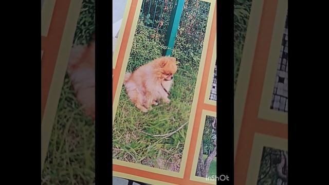 Творческая визитка_Семья Рюб