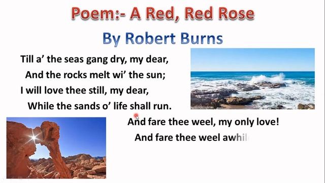Poem A Red Red Rose  by Robert Burns