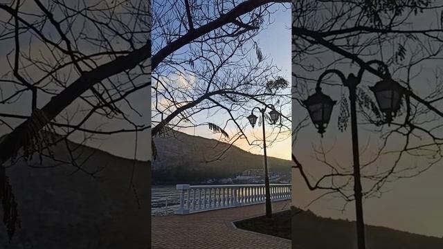 Чайки в свете уходящего солнца