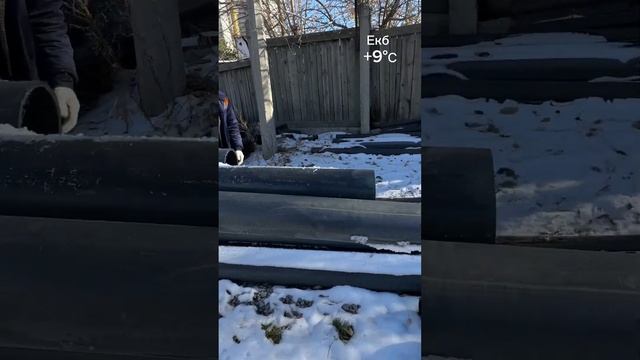 Дак утро или день??? #трубапнд