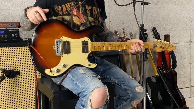 Маленький зверь с хищным оскалом — Peavey T-15