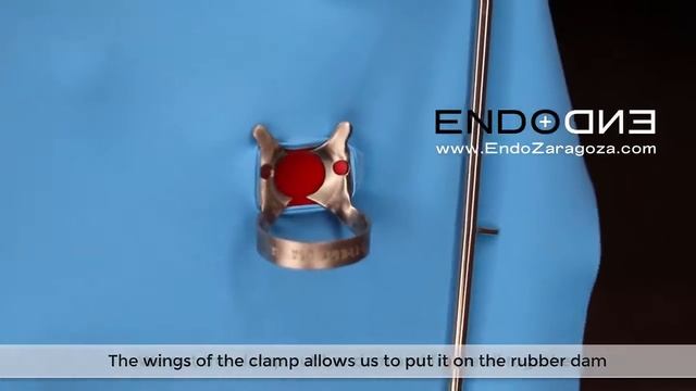 Биология в действии