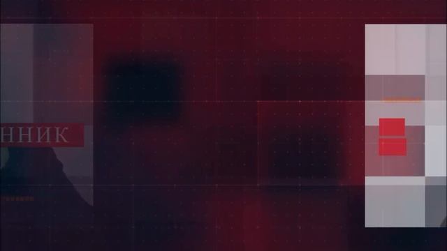 WhatsApp Video 2024-11-12 At 12.35.54