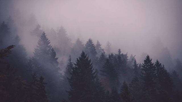 Луций Анней Сенека. Счастье зависит от нас