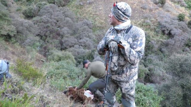 Охота в Новой Зеландии в 2020