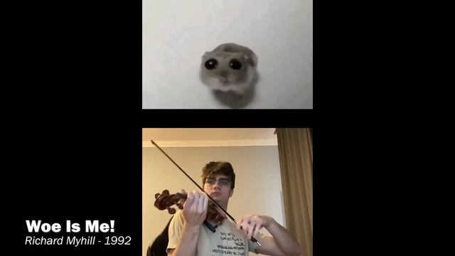 ГРУСТНЫЙ ХОМЯК😢 — ОТКУДА МЕМ?