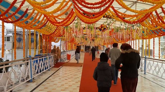 Talwandi Sabo Punjab🙏 Ll Punjab Vlog Day -3 🙂#vlog #punjab