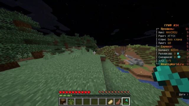 Играю на рили ворлд снисли акки на minelandy