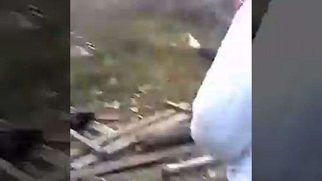 Заброшенная школа ( трелер ) 2016