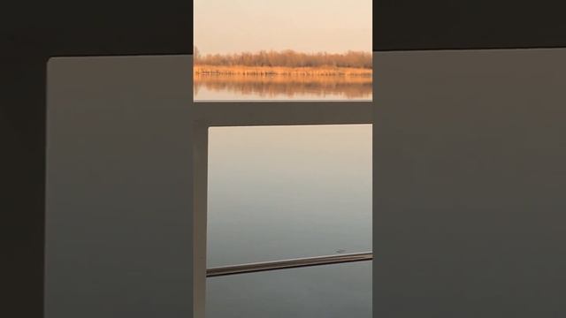 В Астраханской области очевидцы засняли мутную плёнку на поверхности Волги