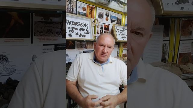 80a5d92f5eb57bb74e28933f4bc7484a