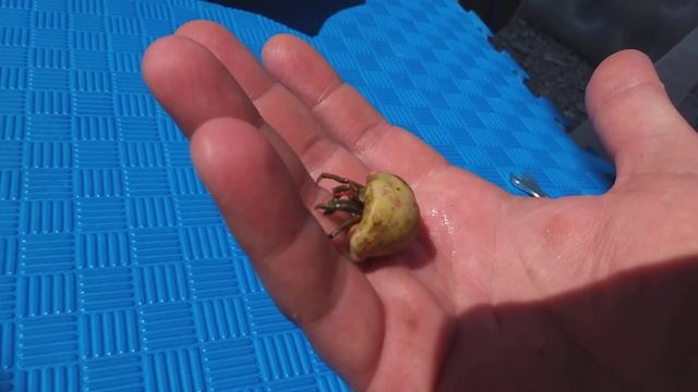 0d631ac795423c19f86c5771cc22dd34