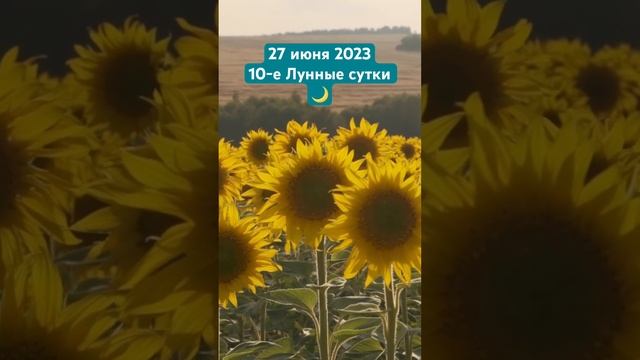 Лунный календарь сегодня🌙#астрология#подпишись#таро#астролог#астропрогноз#блогер#подписку