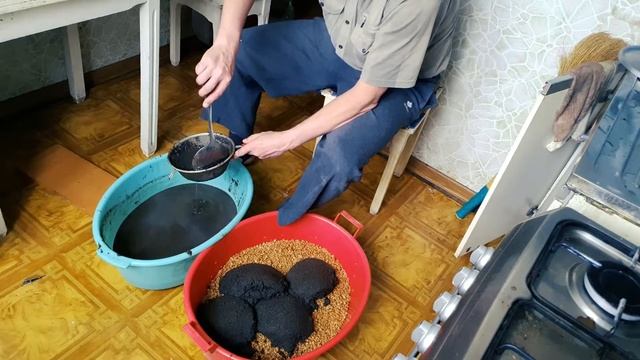 Потихоньку начну выращивать мицелий 4