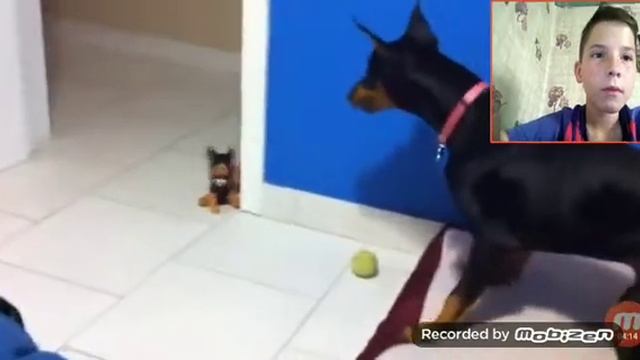 B50335f32f69f141a70289ab931d5af0