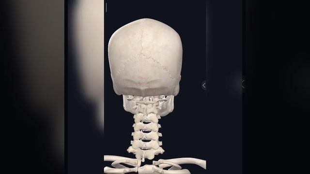 8a1a5fd30c21dc171855044b0048ef1d