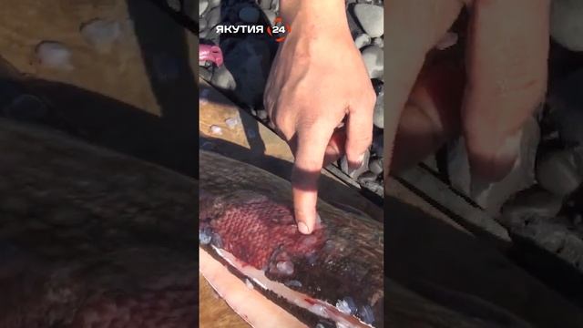 F192f29055657c75b944d06f39d35989