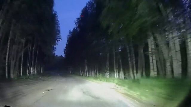 #заяц #дорога #тверскаяобласть