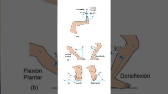 🏒 Приглашаем спортсменов в мини-группы 2012-2013 и 2014-2015, подробнее по ссылке в шапке профиля