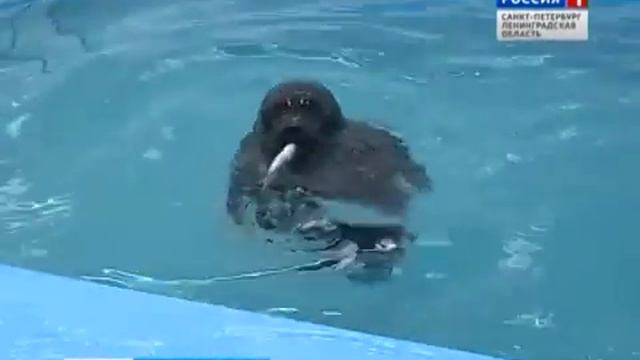 109e108c5e9718a236967fbc9c301667