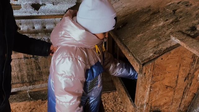 Социальный ролик