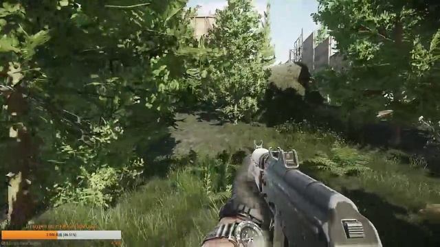 в поисках золотого тт