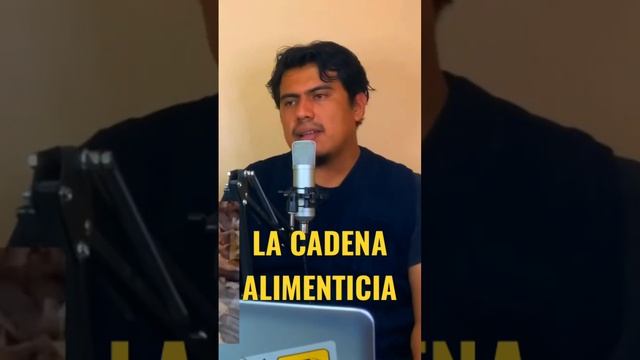 La Cadena Alimenticia - Pelufans #bienestaranimal #cadenaalimenticia #animales #ranas #rana