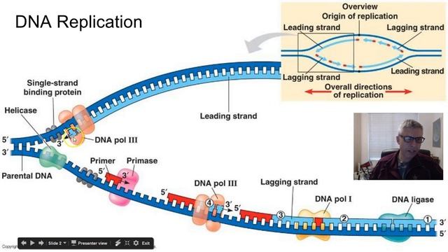 Af59c4713df97b836709e7875cf64ae5
