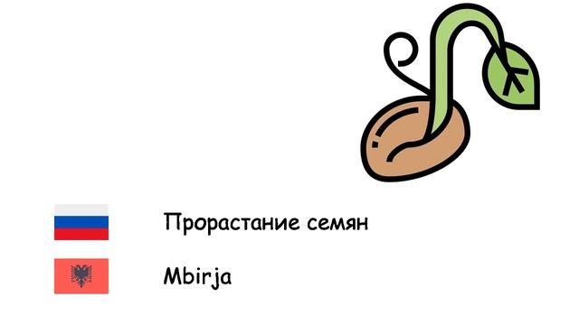 Биология (Албанский язык) (ru-sq)