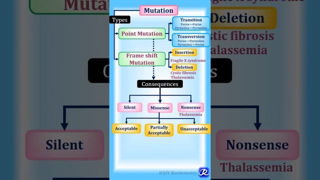 Mutation: Summary In One Minute