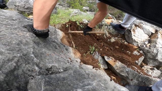 Define Kaya Kasasından Çıkan Muhteşem Hazine...