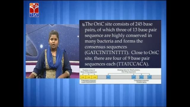CCE || Micro Biology - DNA - Replication|| LIVE  INTERACTIVE SESSION With K.Ashvitha & Sameera