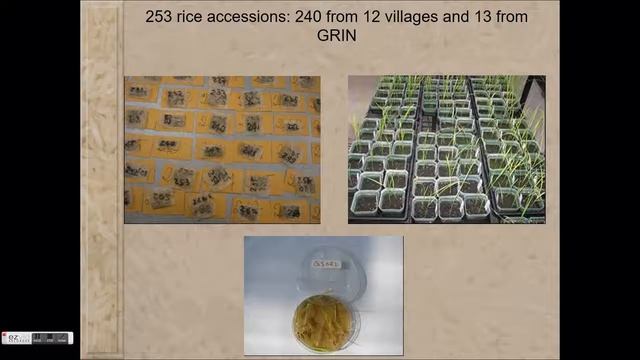 Eco-geographic Patterns Of Genetic Diversity Of  Rice In Benin