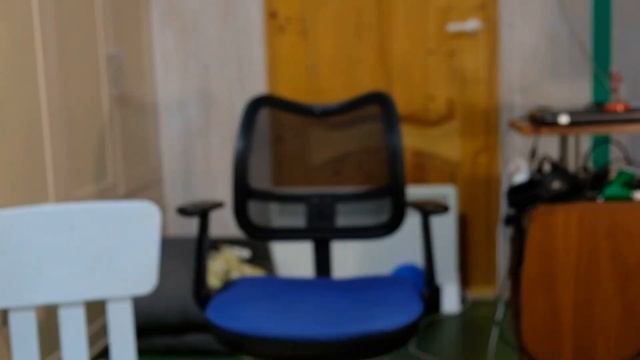 #палеовася № 0 Введение в палеонтологию