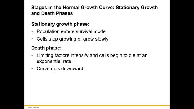 Bacterial Replication