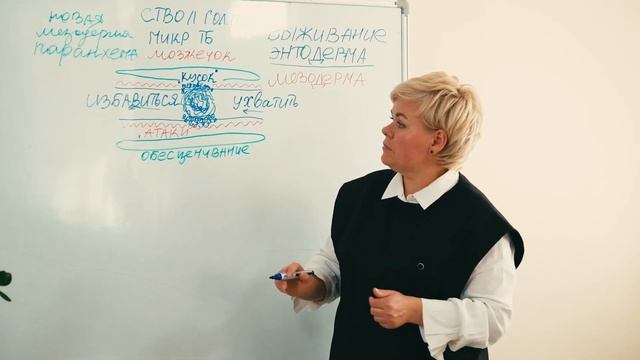 БИОЛОГИЧЕСКИЕ ЗАКОНЫ ПРИРОДЫ|Связь эмоций, мозга и органов.