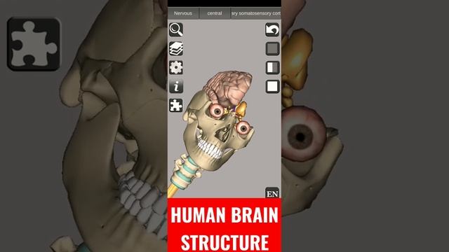 07e29fbd668ddba8ae2acdb79e8dff12