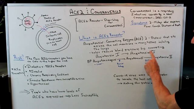 The ACE-2 Receptor And The Coronavirus COVID19
