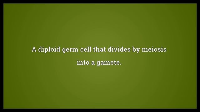 Gametocyte Meaning