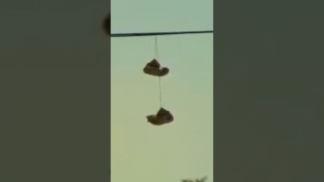 зачем кидают кроссовки со связанными шнурками, чтобы они весели на проводах