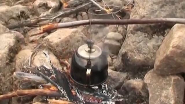 Лучшие приколы в COUB за май 2016 #19 Эволюция