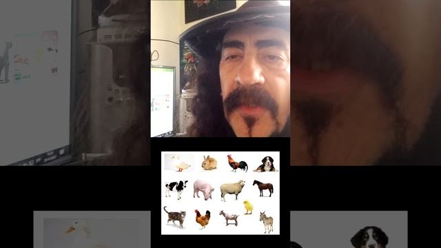 LA PREGUNTA QUE EL 99% RESPONDE MAL...