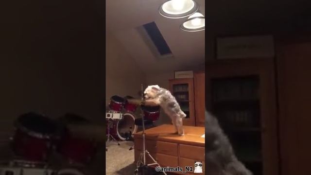 418c3eaa75f9fc53a20ce048136797a1