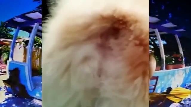 Тест на психику (18+) #7