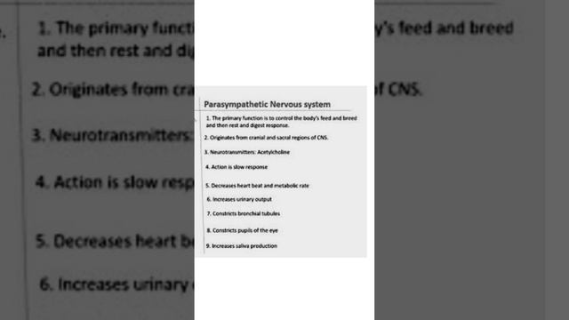 Difference Between Sympathetic And Parasympathetic Nervous System.