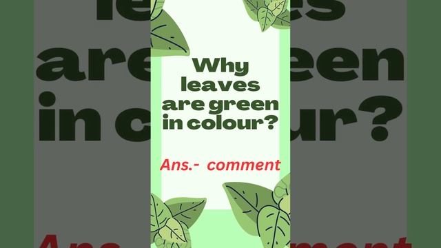 Why Leaves Are Green In Color? #No Doubt