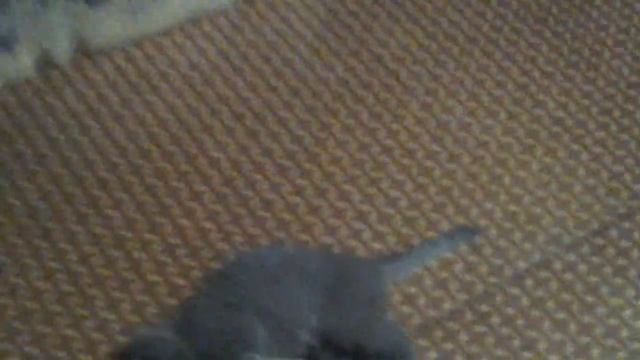 268fbea03143d2ecf6ca4710172dddee