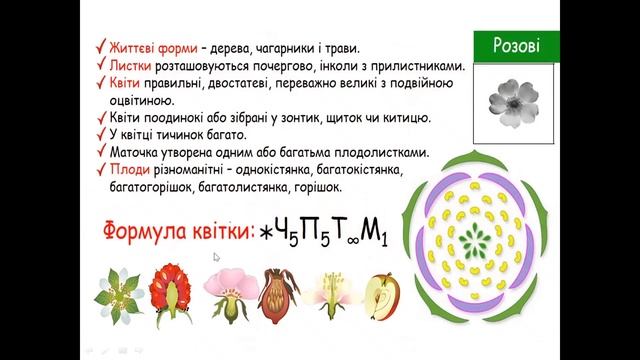 28 березня 2023 р.