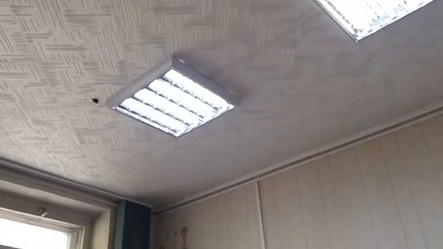 яркость света