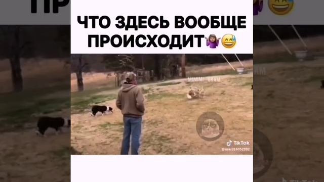 64ca0e174d6bf292022d6d81d75232de